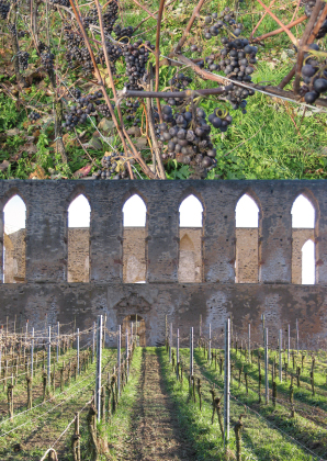 Kloster Stuben, Bremm